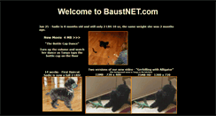 Desktop Screenshot of baustnet.com